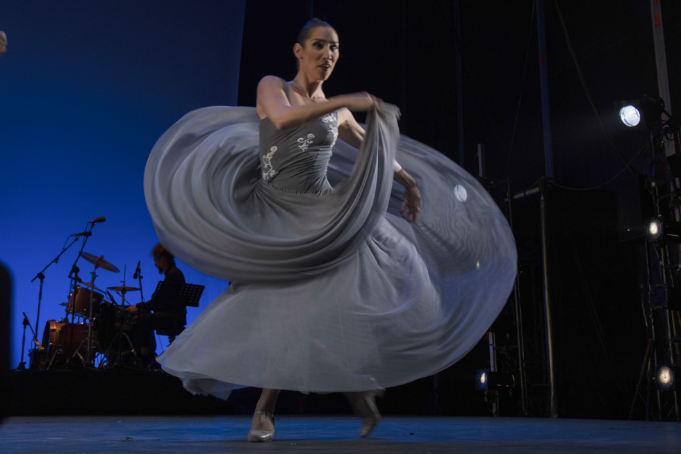 DSC_7242 copia